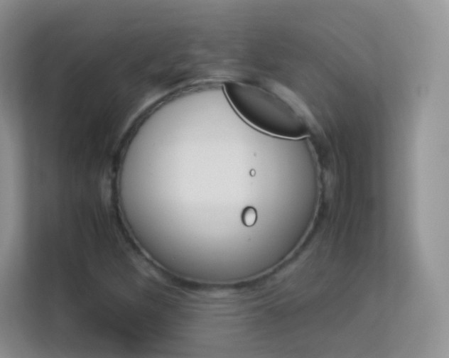 X0000113541260200909250919