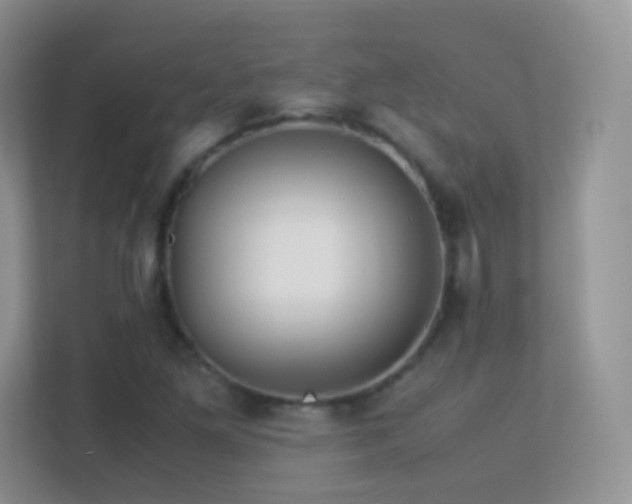 X0000113541261200909250919
