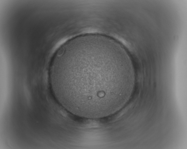 X0000113541263200909250919