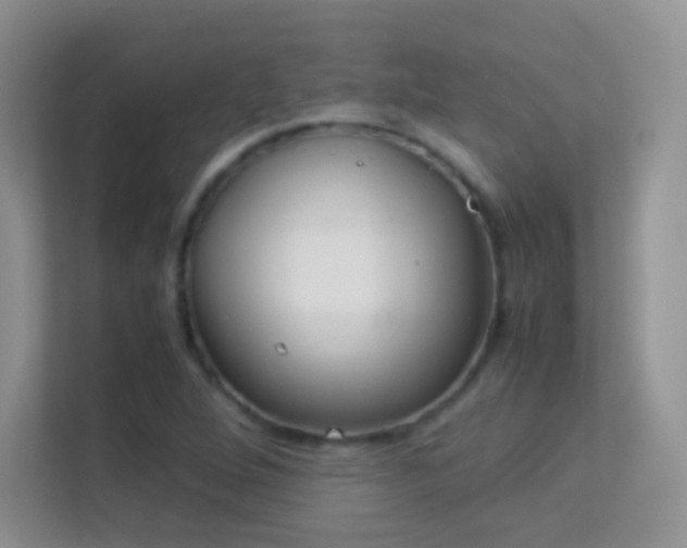 X0000113541264200909250919