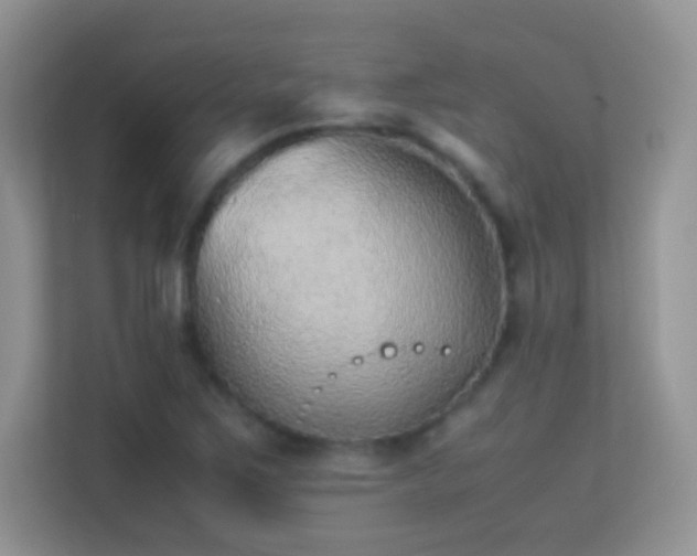 X0000113541267200909250919