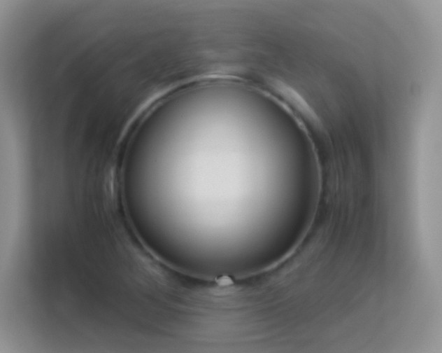 X0000113541268200909250919