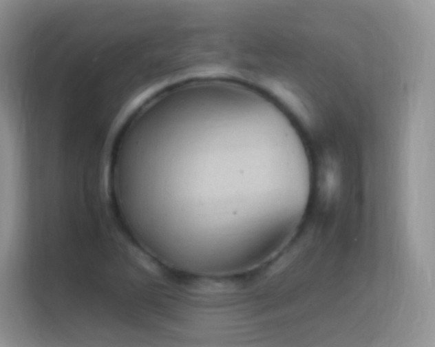 X0000113541270200909250919