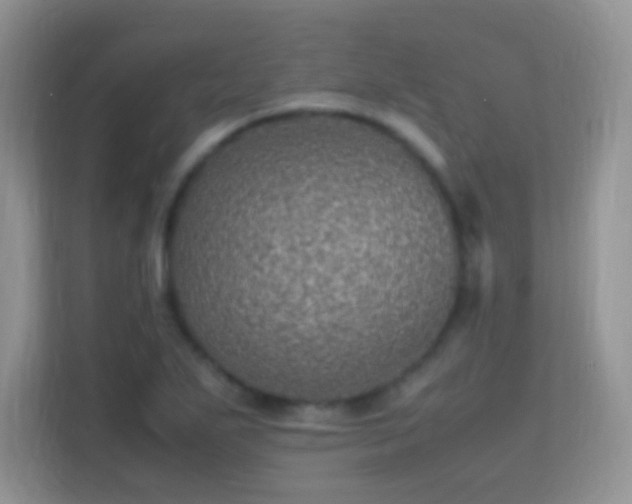 X0000113541271200909250919