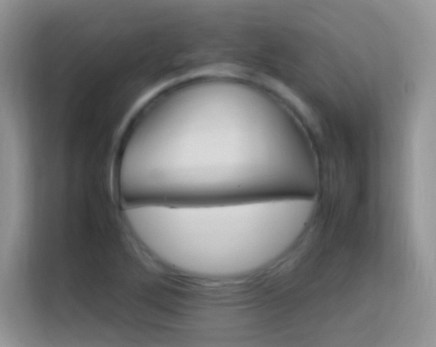 X0000113541272200909250919