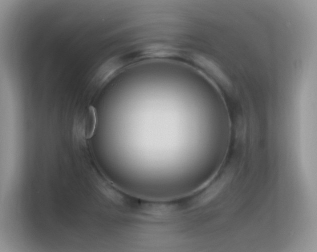 X0000113541273200909250919