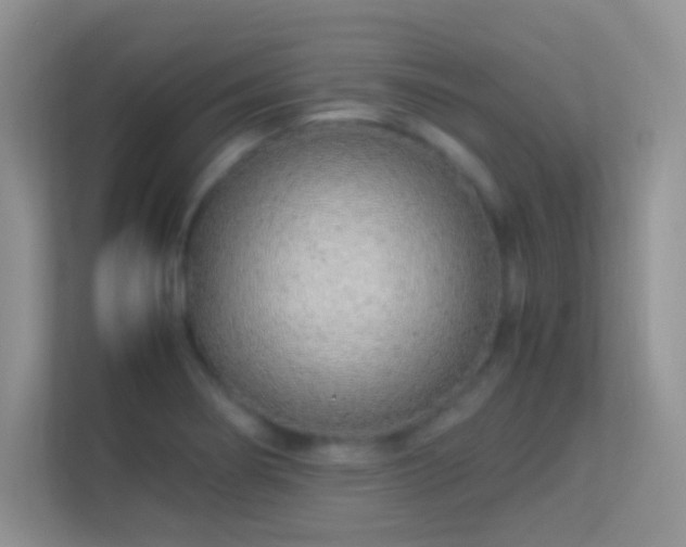 X0000113541274200909250919