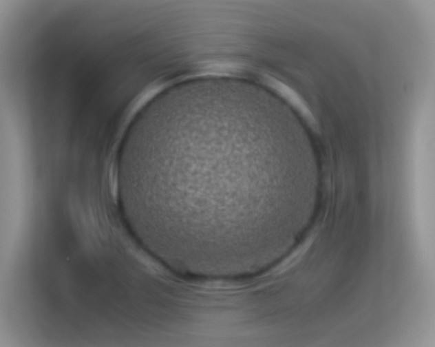 X0000113541275200909250919