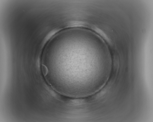 X0000113541277200909250919