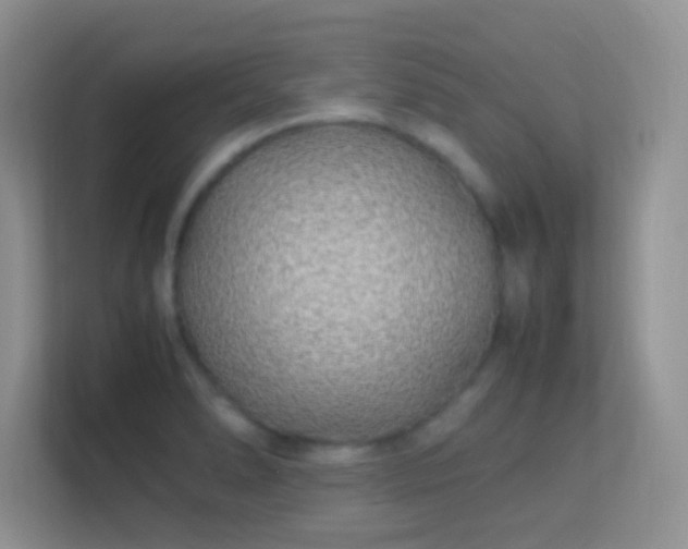X0000113541278200909250919