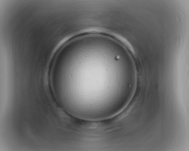 X0000113541279200909250919