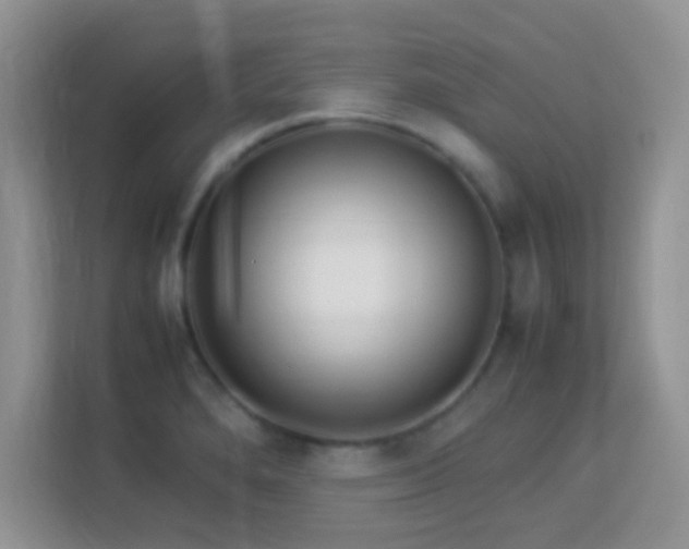 X0000113541280200909250919