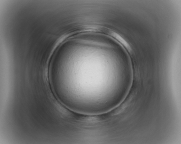 X0000113541283200909250919