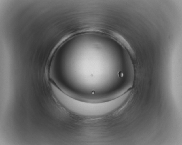 X0000113541284200909250919