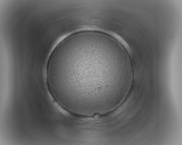 X0000113541287200909250918