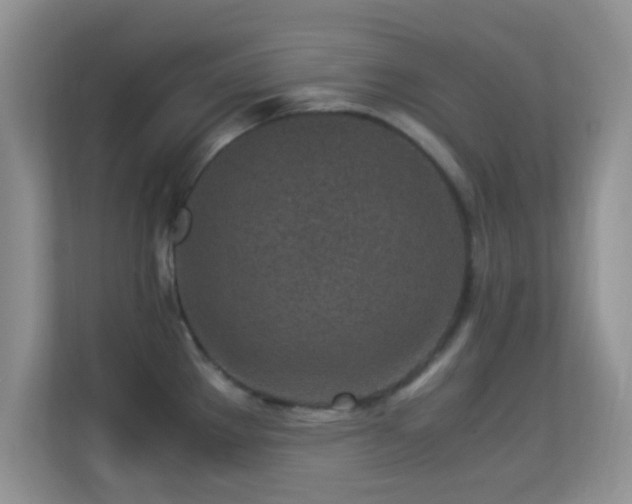 X0000113541289200909250918