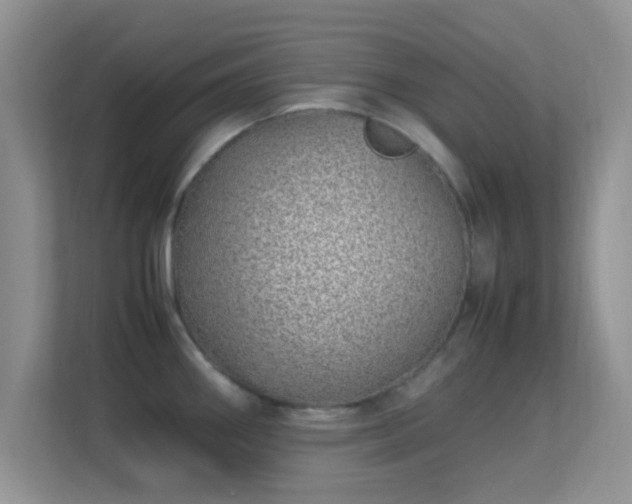 X0000113541290200909250918