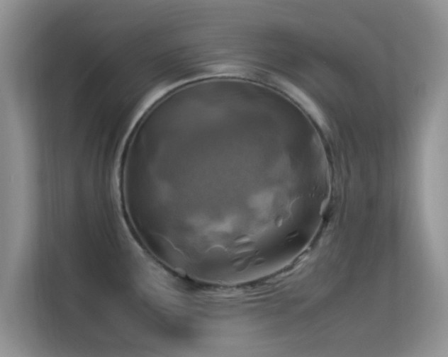 X0000113541291200909250918