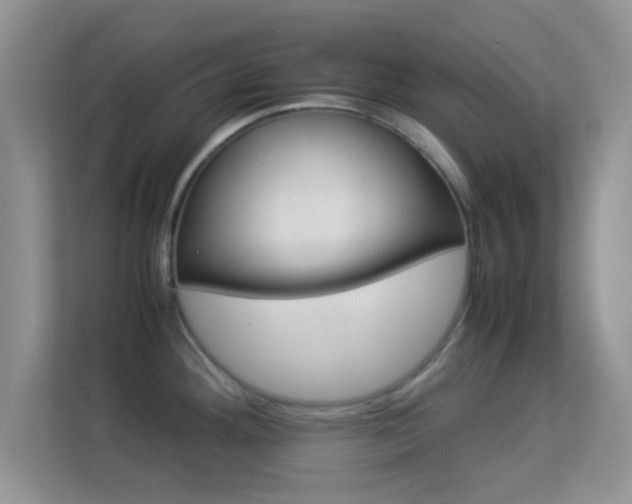X0000113541292200909250918