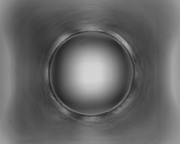 X0000113541293200909250918