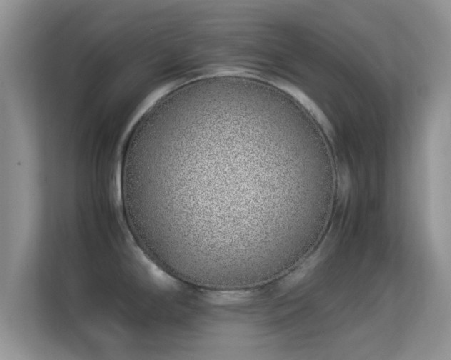 X0000113541294200909250918