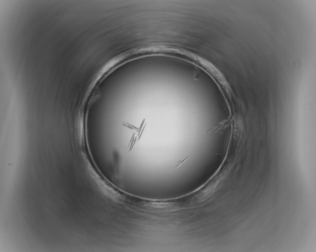 X0000113541295200909250918