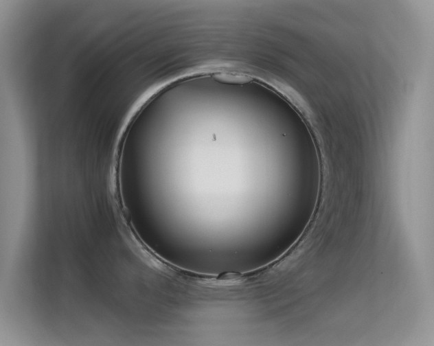 X0000113541296200909250918