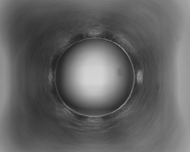 X0000113541299200909250918