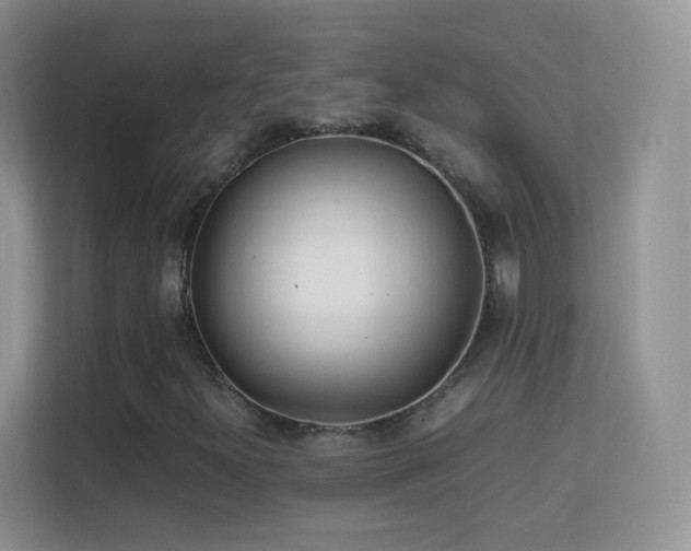 X0000113541300200909250918
