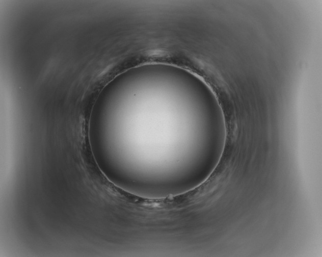 X0000113541301200909250918