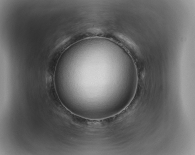 X0000113541302200909250918