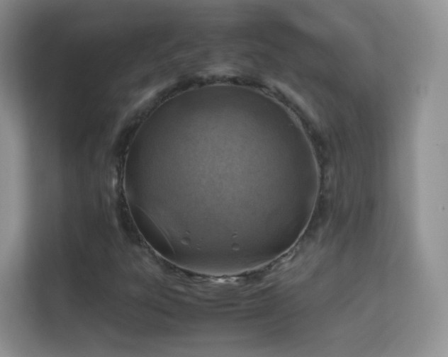 X0000113541303200909250918