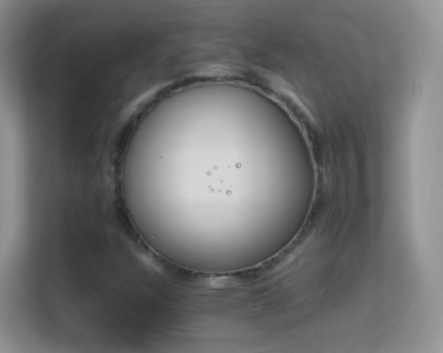 X0000113541304200909250918
