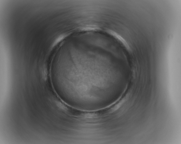 X0000113541306200909250918