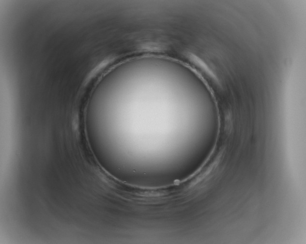 X0000113541307200909250918