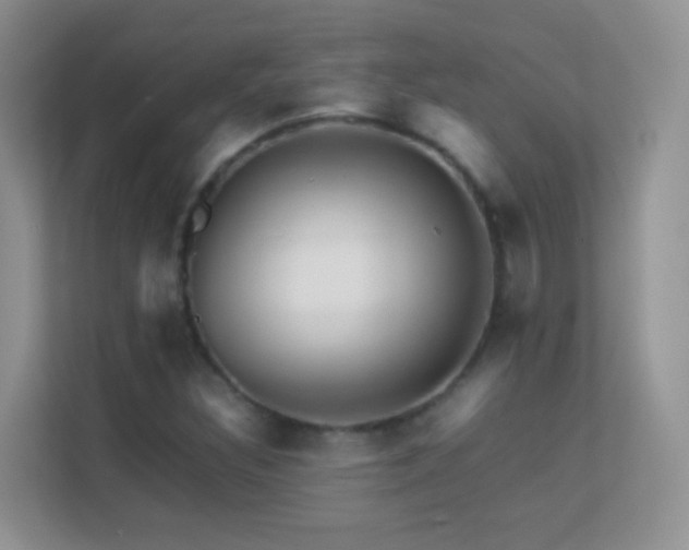 X0000113541308200909250918