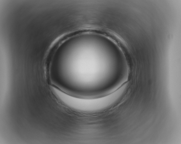 X0000113541310200909250918