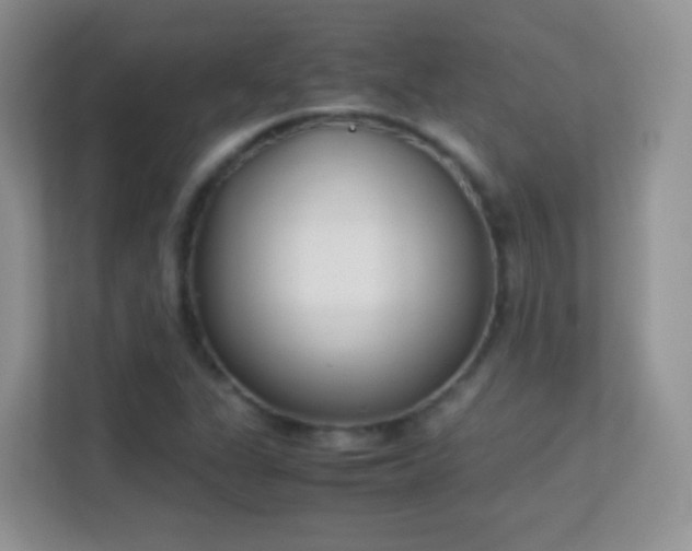 X0000113541311200909250918