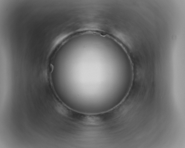 X0000113541312200909250918