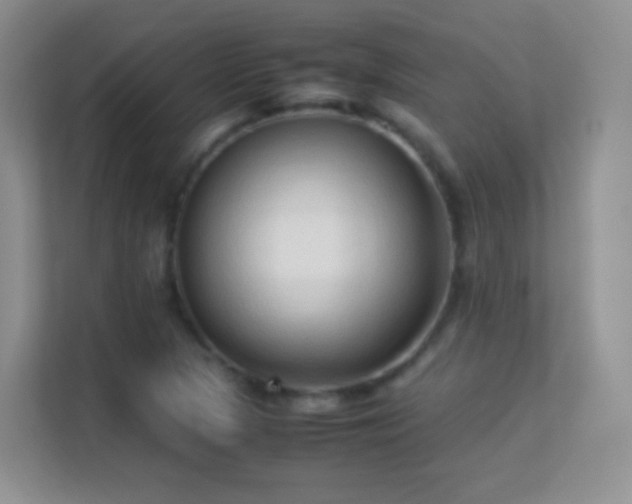 X0000113541313200909250918