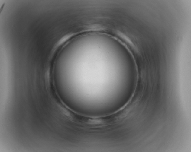 X0000113541315200909250918
