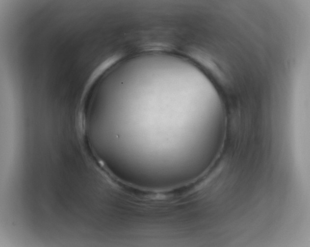 X0000113541317200909250918
