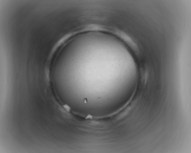 X0000113541318200909250918