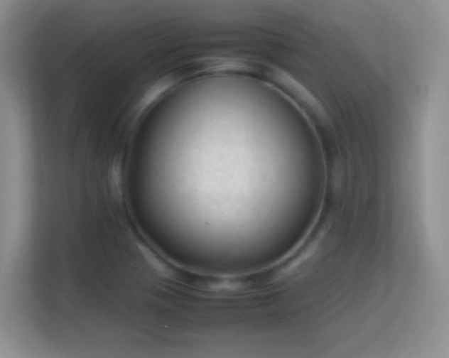 X0000113541321200909250918