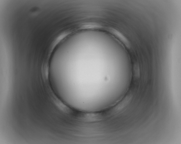 X0000113541322200909250918