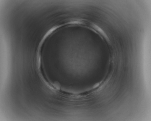 X0000113541323200909250918