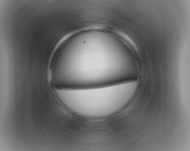 X0000113541324200909250918