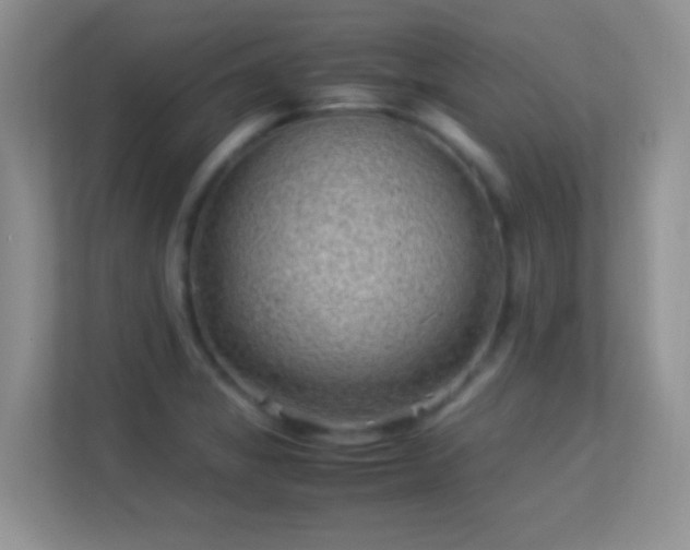 X0000113541325200909250918