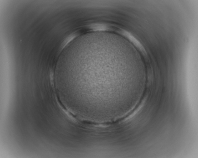 X0000113541329200909250918