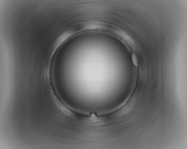 X0000113541330200909250918